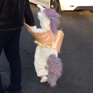 🦄 🌈 Gorgeous Plush Unicorn Costume